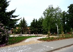 Nové centrum Velkých Losin